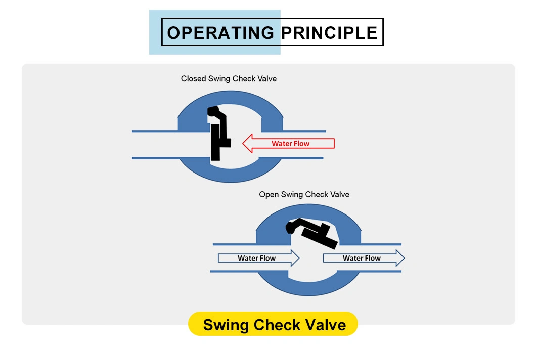 Professional Manufacture DN100 Pn16 Swing Check Valve CF8 Disc 2inch-12inch Non Return Valve Dual Plate Non Return Valve