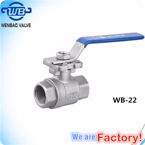 Stainless Steel Ball Valve 2PC Ss Threaded Industrial Valves with Optional Mounting Pad Float Valve