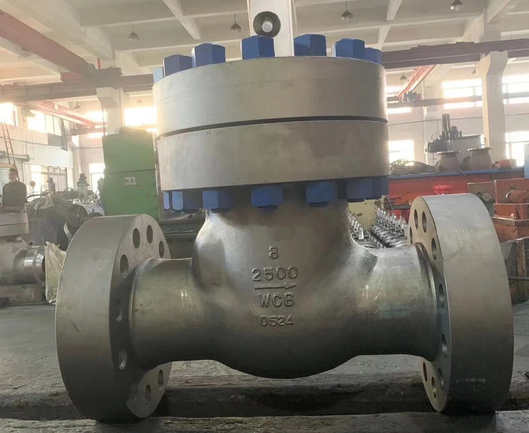 DIN ANSI/ASME JIS Wcb CF8 CF8m Flanged Bolted/Pressure Seal Bonnet Check Valve