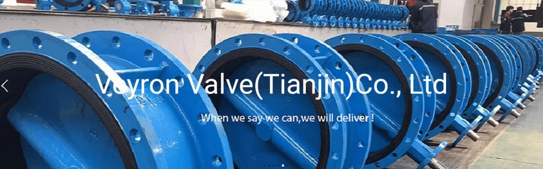 DN500 CF8 SS304 Metal Seated Triple Eccentric Offset Double Flanged Butterfly Valve Pn16 25