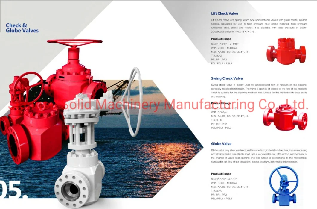 API 6A Oilfield Pressure Seal Check Valve