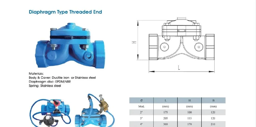 API Cast Steel Pressure Seal Swing Check Valve