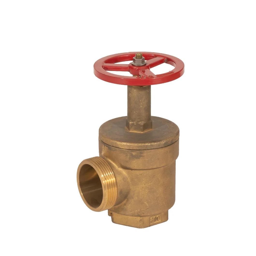 Class 300 Cast Bronze Globe Valve Angle Valve Fire Protection Valve