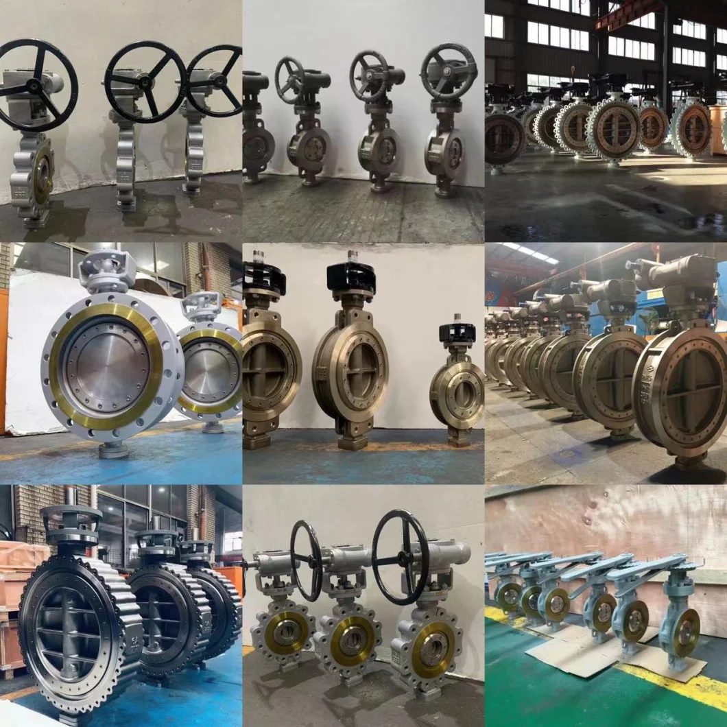 DN250 Industry Ss 316 Lug Wafer Type Double Offset Flange Double Triple Eccentric Butterfly Valve