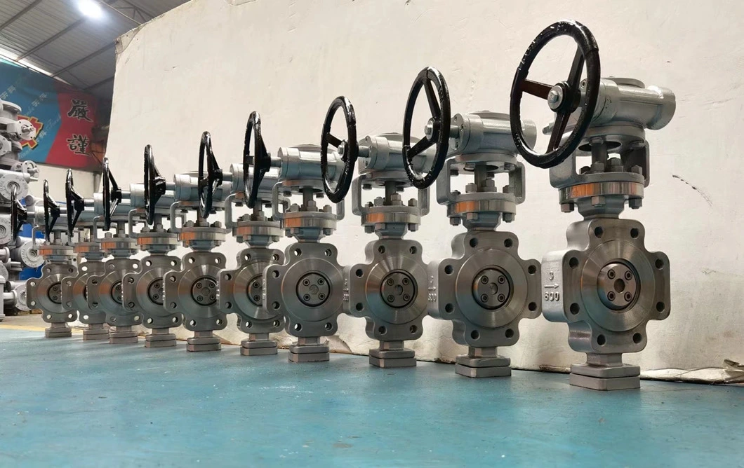 DN250 Industry Ss 316 Lug Wafer Type Double Offset Flange Double Triple Eccentric Butterfly Valve