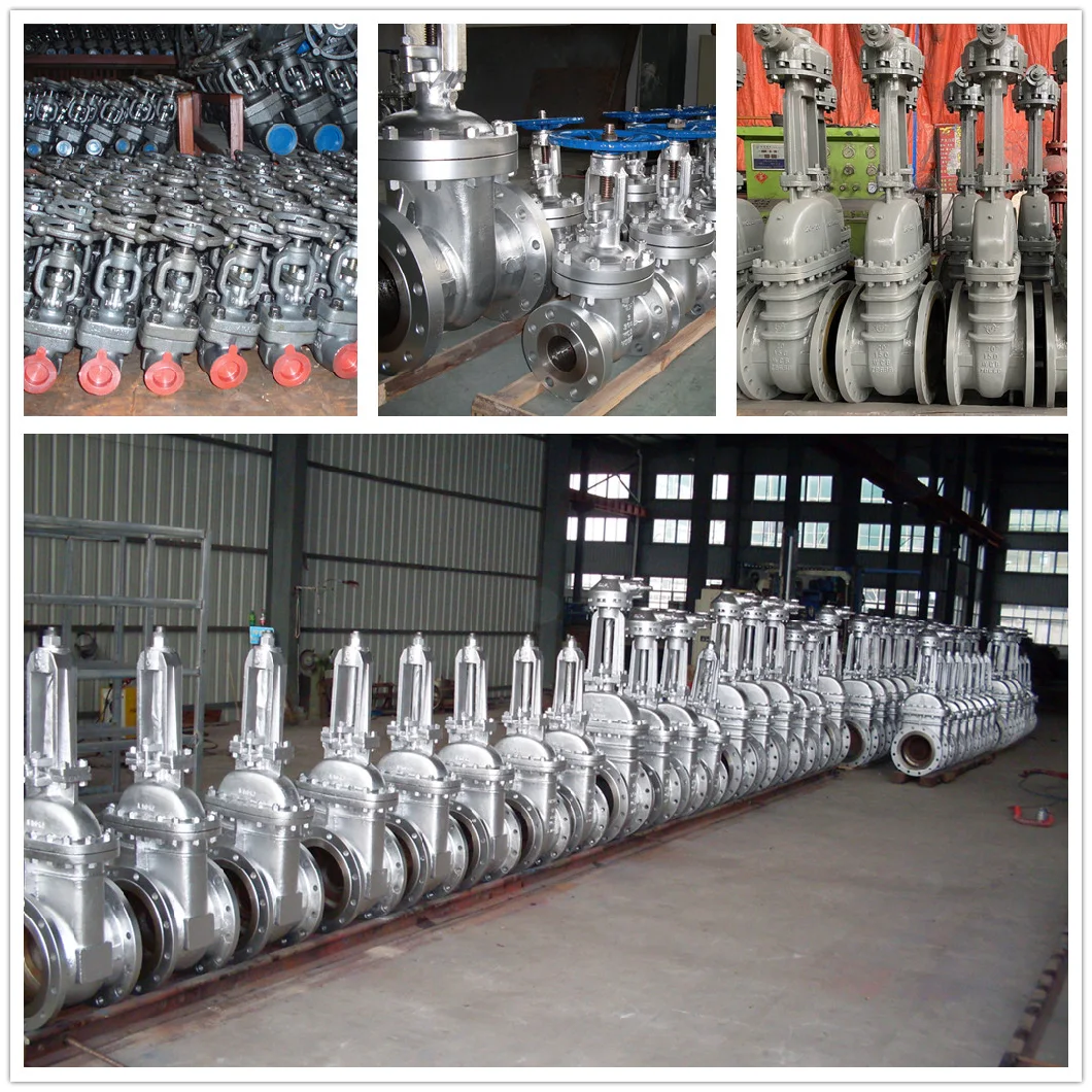 API Carbon Steel Wcb Stainless Steel CF8 CF8m Flanged End Globe Valve